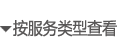 按服务类型查看